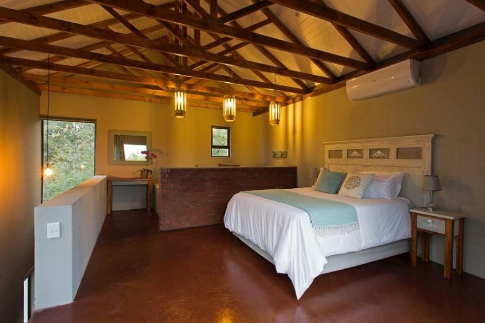 The Willows Guesthouse 블룸폰테인 외부 사진